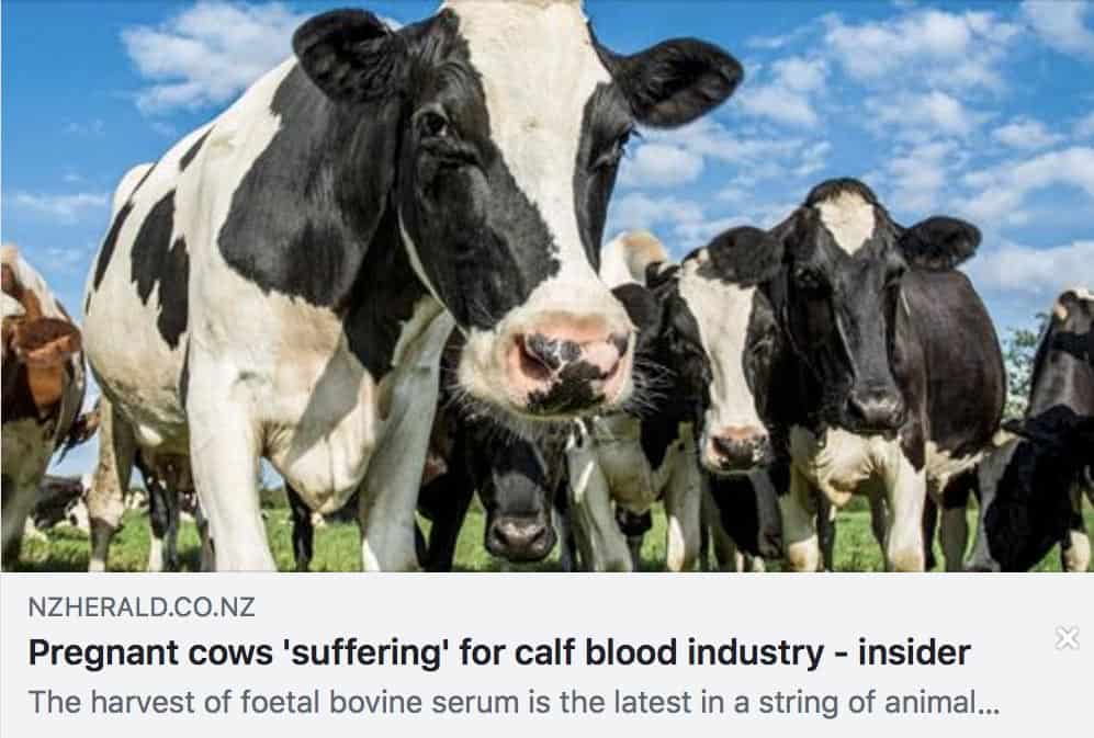 Vaccines and Animal Cruelty