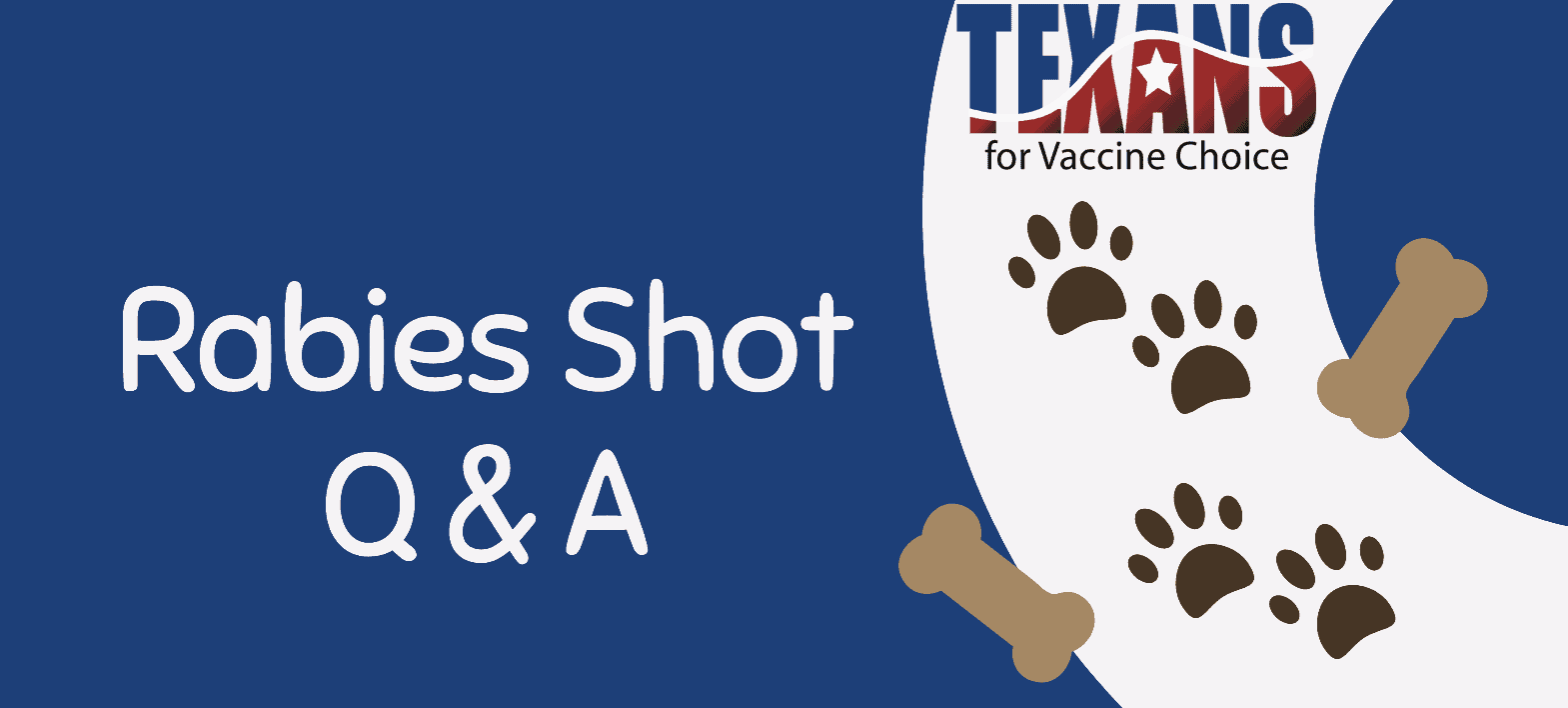 Rabies Shot: Q&A